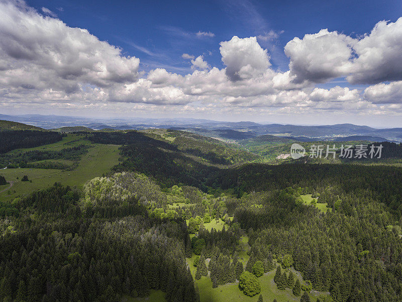 鸟瞰图的夏季时间在山脉附近的Czarna Gora山在波兰。松树林和蓝天白云。从以上观点。